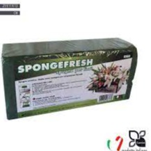 CANTINI SPUGNA PER FIORI
